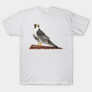 Peregrine Falcon on the cliff T-Shirt